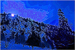 фото "Winter Blues"