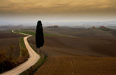 photo "CD"
