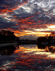 photo "****"