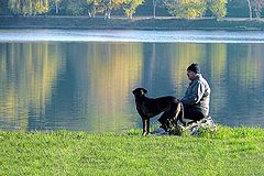 photo "Morning on Lake / Утро на озере"