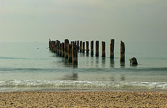 photo "***"
