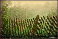 фото "fence"
