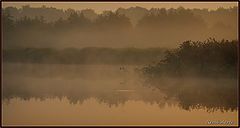 фото "misty morning"