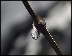 photo "Melt"