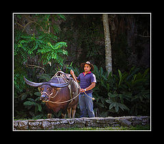 фото "Ready for a ride?"