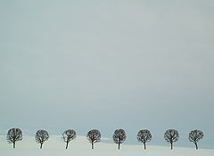 фото "зимнее"