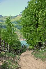 фото "Maneciu Lake, Romania"