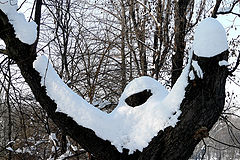 фото "Winter surrenders! / Преподается Зима!"