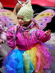 фото "Carnival."