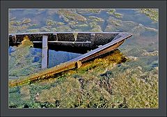 photo "****"