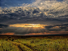 photo ".. to the light ..."