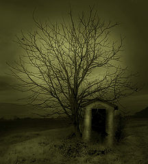 photo "la casa di Elfi"