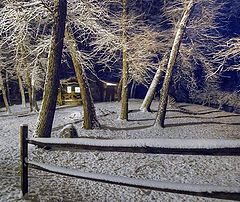 photo "Snow at night"
