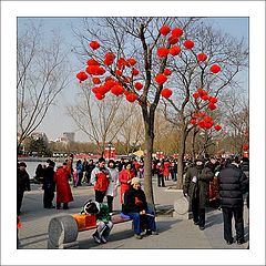 photo "beijing-18"