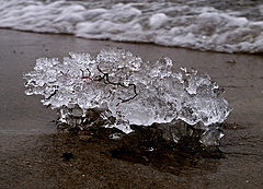photo "Iceberg On The Beach"