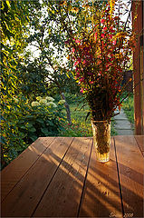 photo "Bouquet"