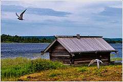 фото "Наперегонки"