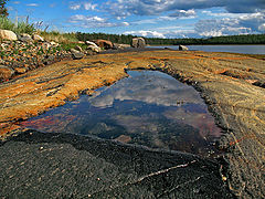 photo "Reflection."