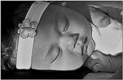 фото "Sleepy Head"