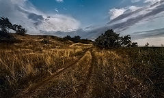 фото "Степной пейзаж.Перед рассветом"