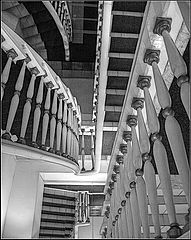 photo "Ladder"