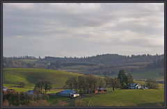 photo "Vineyard's winter"