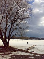 photo "природа,весна,пейзаж,деревья"