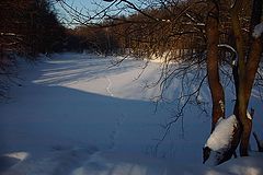 photo "***"