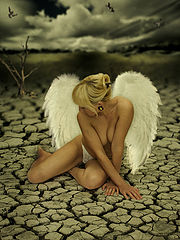 фото "Angel"