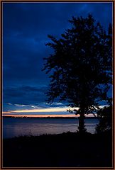 photo "***"