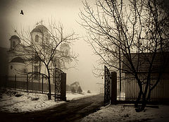 photo "***"