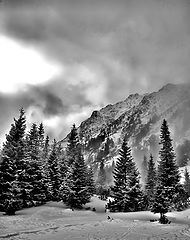 photo "piece of heaven"