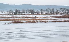 photo "The first day of spring on Volga"