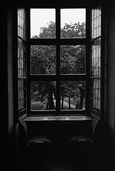 photo "***"