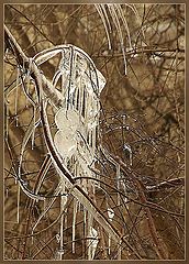 photo "Winter tears"