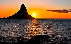 фото "Romantic Flirting"