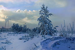 фото "К перемене климата"