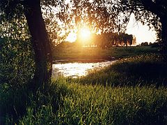 photo "***"