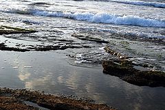 photo "Such different Sea."