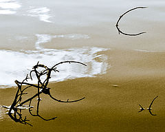 photo "***"