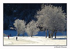 photo "Winter"