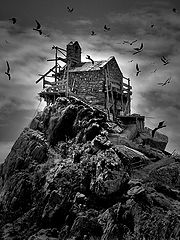 фото "The house of the raising birds..."