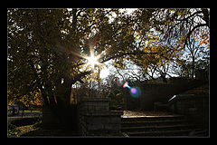 photo "Autumn in Tallinn"
