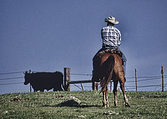 photo "Roundup May 09"