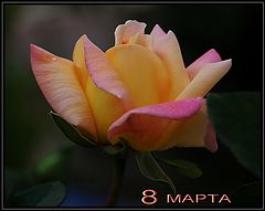 photo "***"