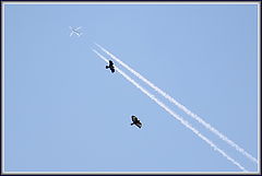 photo "Who is the master in the sky?"