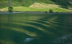 photo "wave"