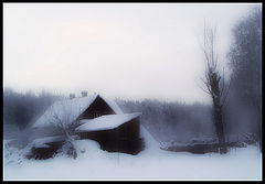 photo "***"
