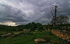 photo "***"