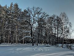 фото "У озера"
